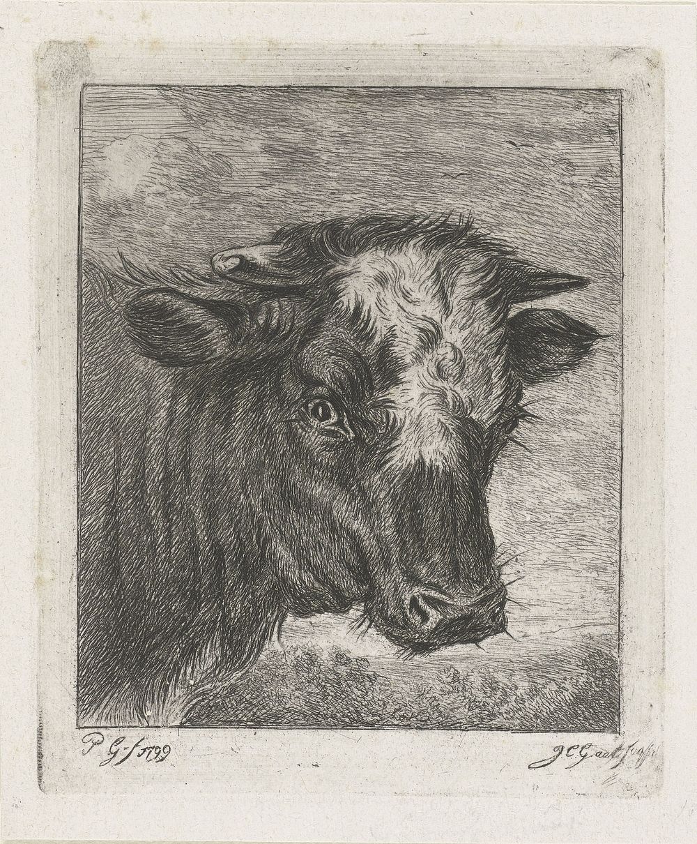 Kop van een koe met witte kol (c. 1850 - c. 1852) by Jacobus Cornelis Gaal and Pieter Gaal