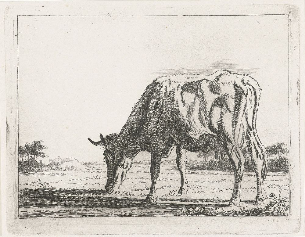 Grazende koe (1854) by Jacobus Cornelis Gaal