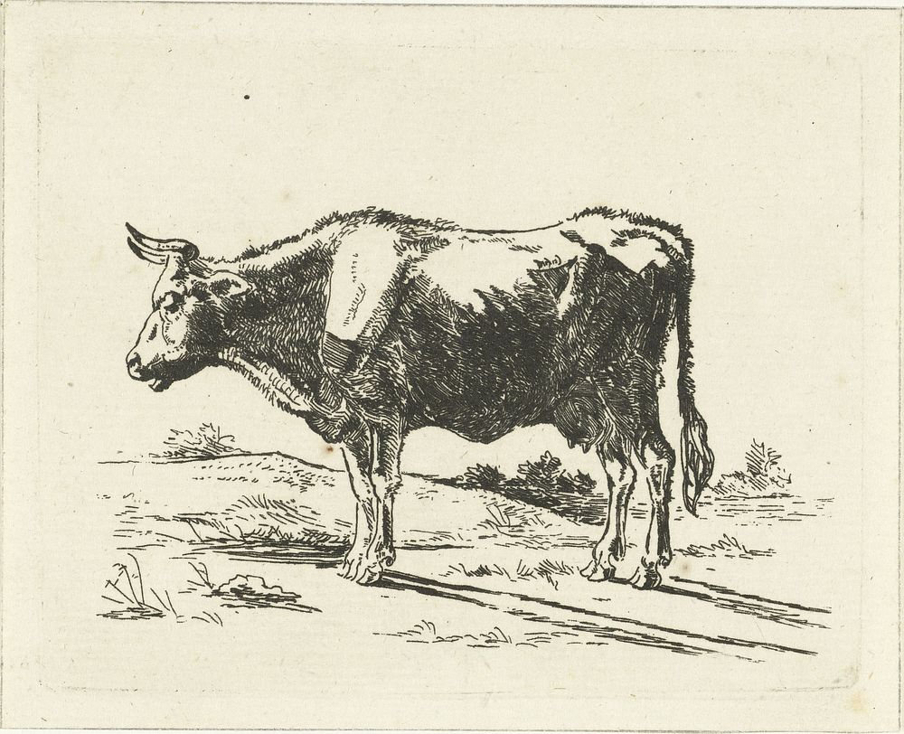 Staande koe (1780 - 1855) by Jan Dasveldt