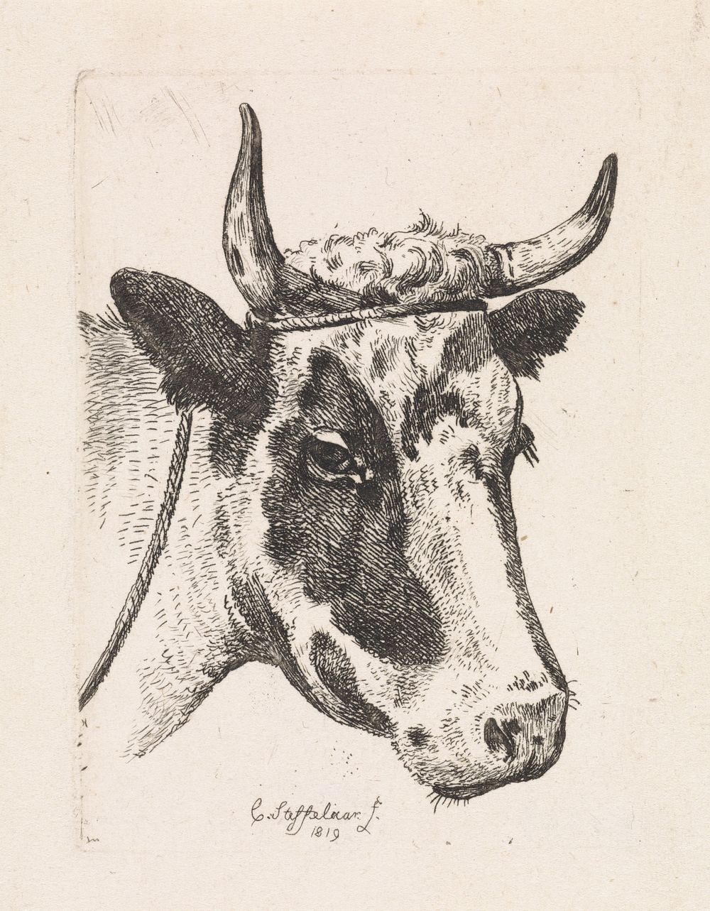 Kop van een gevlekte koe (1819) by Cornelis Steffelaar