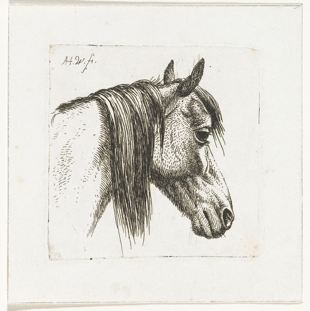 Paardenhoofd naar rechts (1815 - 1860) by Abraham Hendrik Winter