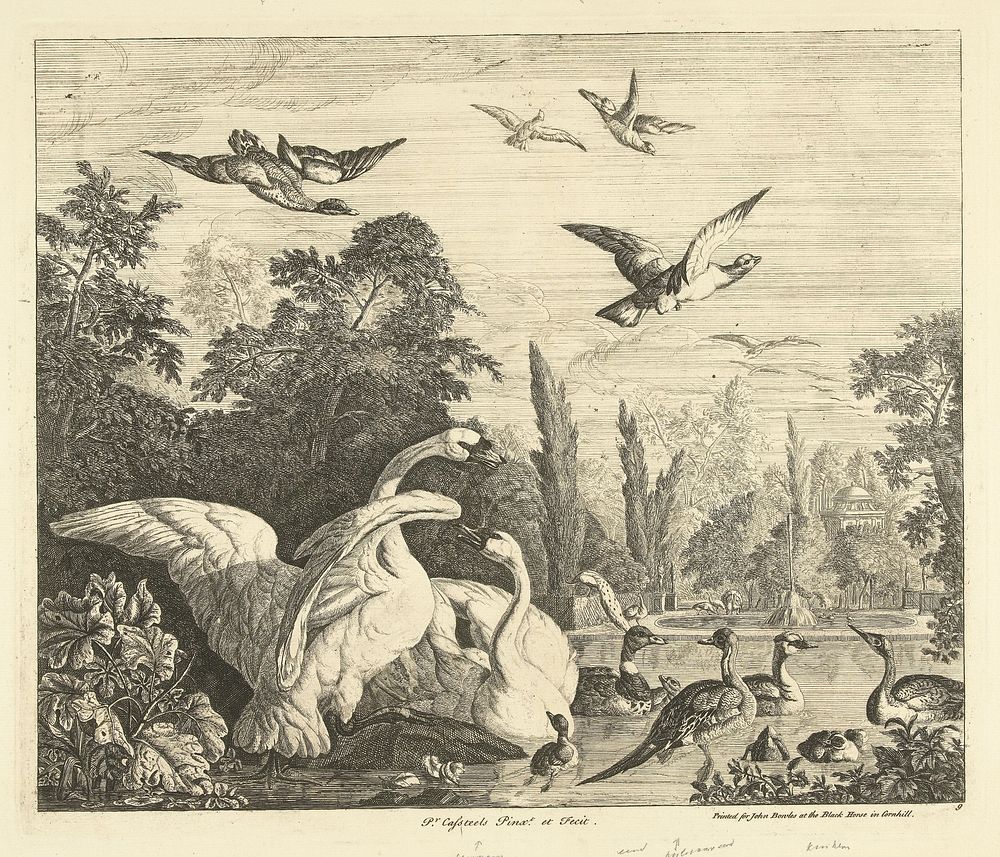 Zwanen en eenden in een vogelvijver (1708 - 1749) by Peter Casteels III, Peter Casteels III and John Bowles and Son