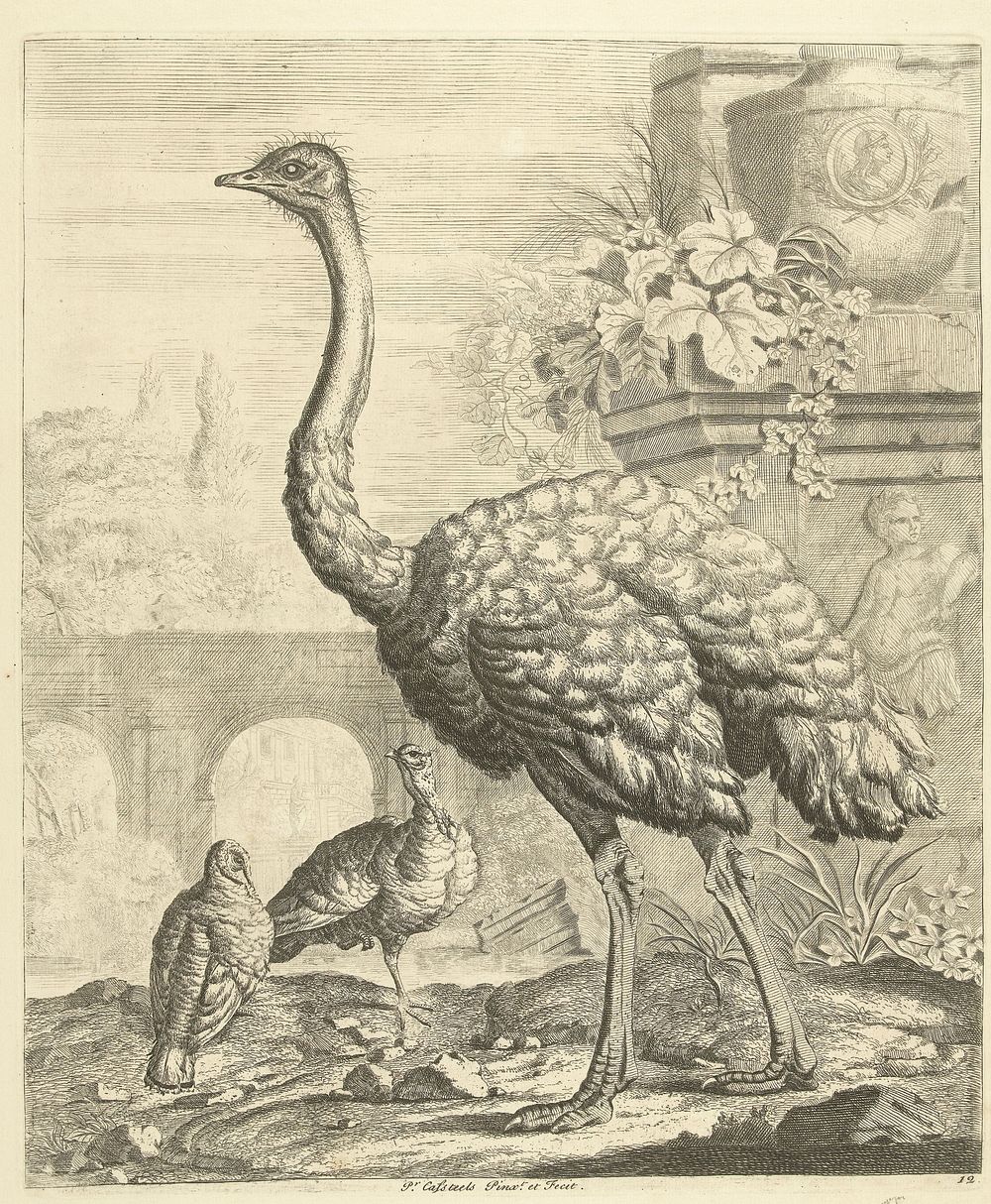 Struisvogel en kalkoenen in een tuin met antieke ruines (1708 - 1749) by Peter Casteels III, Peter Casteels III and John…