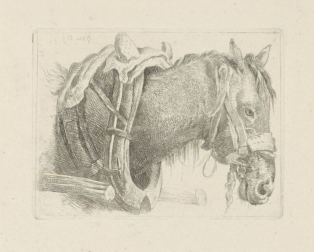Studie van een paardenkop (1791 - 1839) by Pieter Gerardus van Os