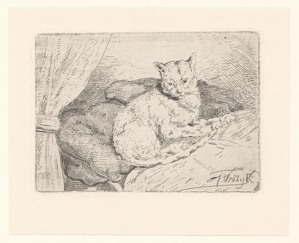 Kat op bed (1856 - 1883) by Jan Vrolijk