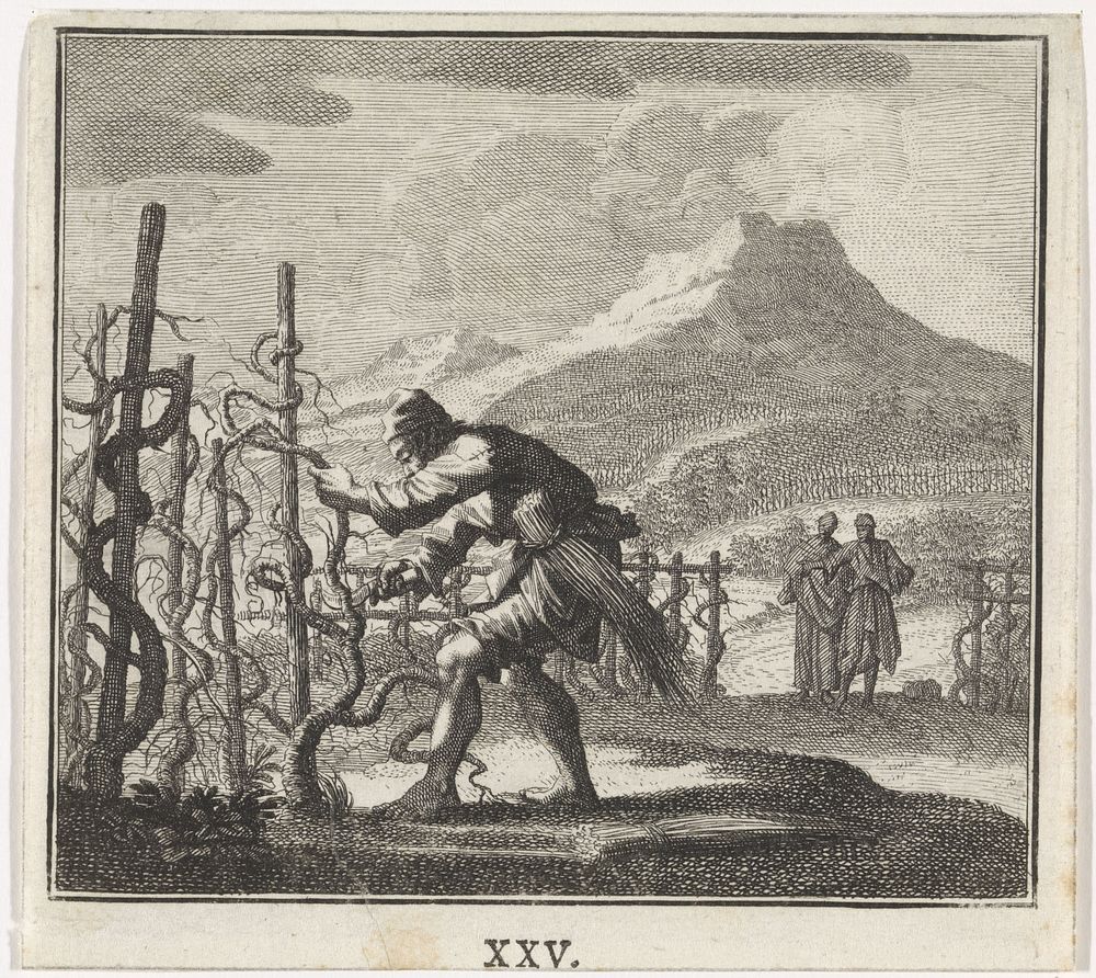 Embleem: wijnstok (c. 1700) by Caspar Luyken, Jan Luyken and Christoph Weigel