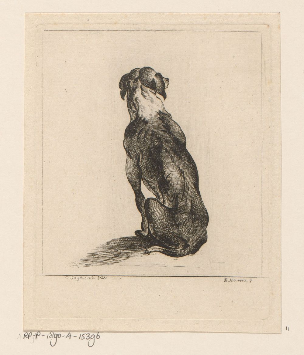 Zittende hond op de rug gezien (1700 - 1800) by D Merrem and Cornelis Saftleven