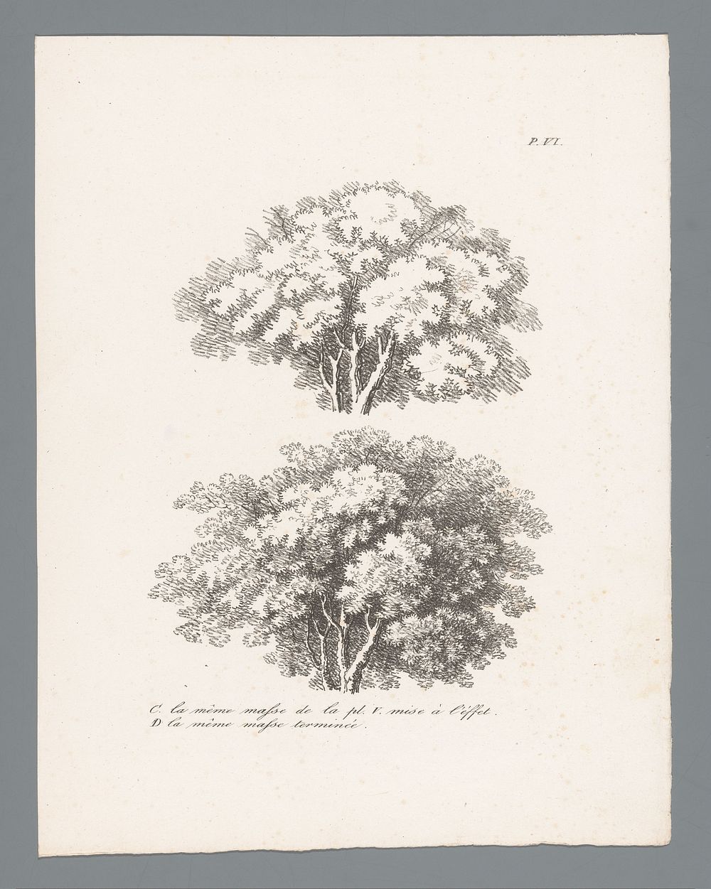 Studies van twee boomtoppen in diverse tekenfasen (c. 1820 - 1833) by J Bernard and Gottfried Engelmann