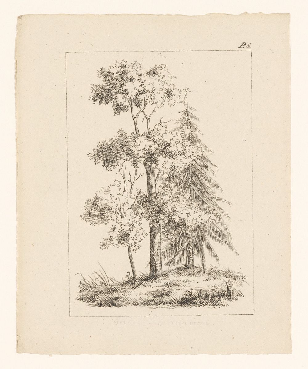 Naaldboom en twee loofbomen (1819 - 1837) by anonymous and Gebroeders van Arum