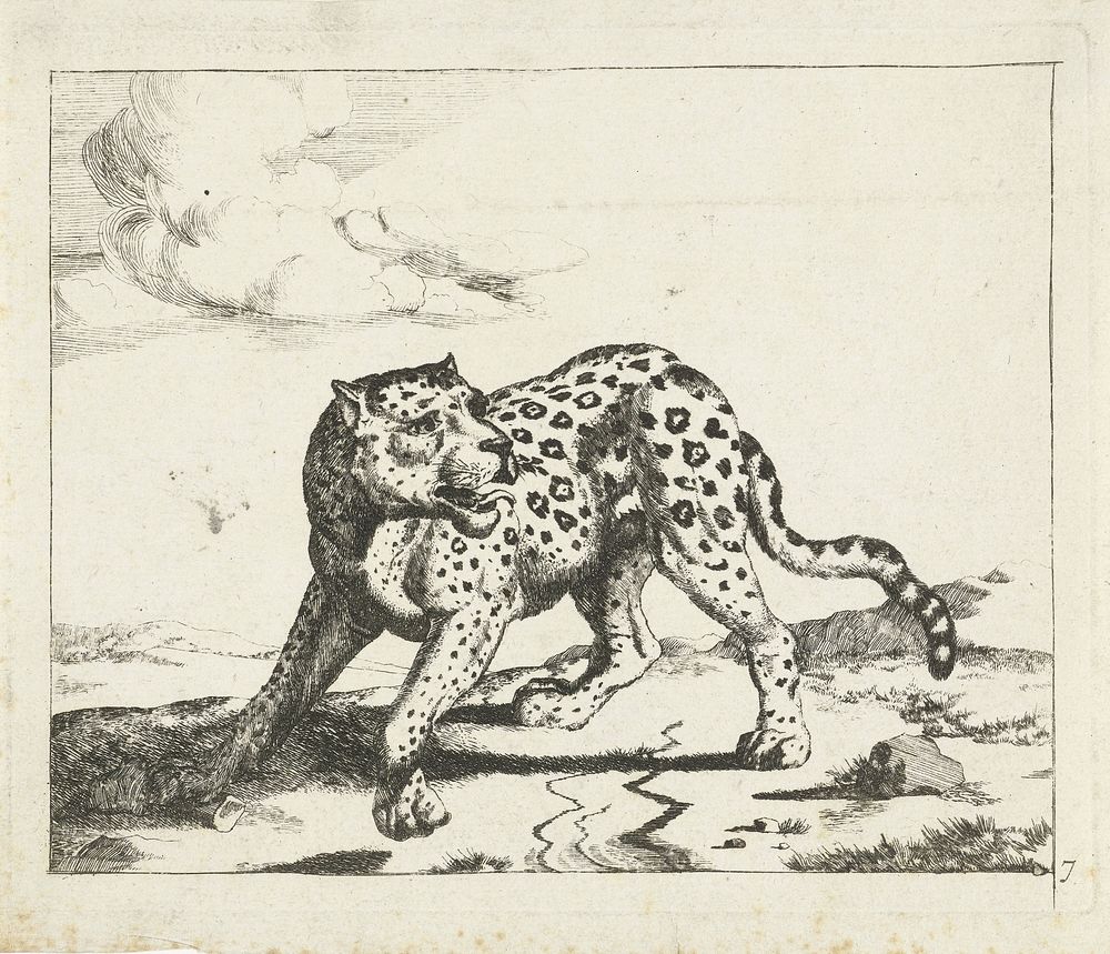 Luipaard, staand naar links, de kop naar rechts (1728 - c. 1761) by Marcus de Bye and Paulus Potter