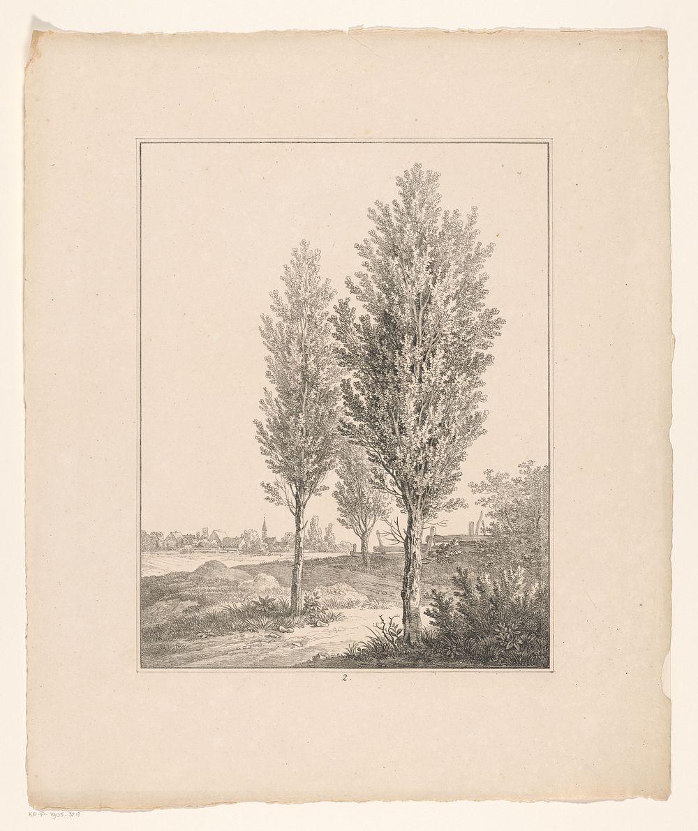 Drie bomen bij hek (1826) by Adrianus van der Koogh and Steuerwald and Co