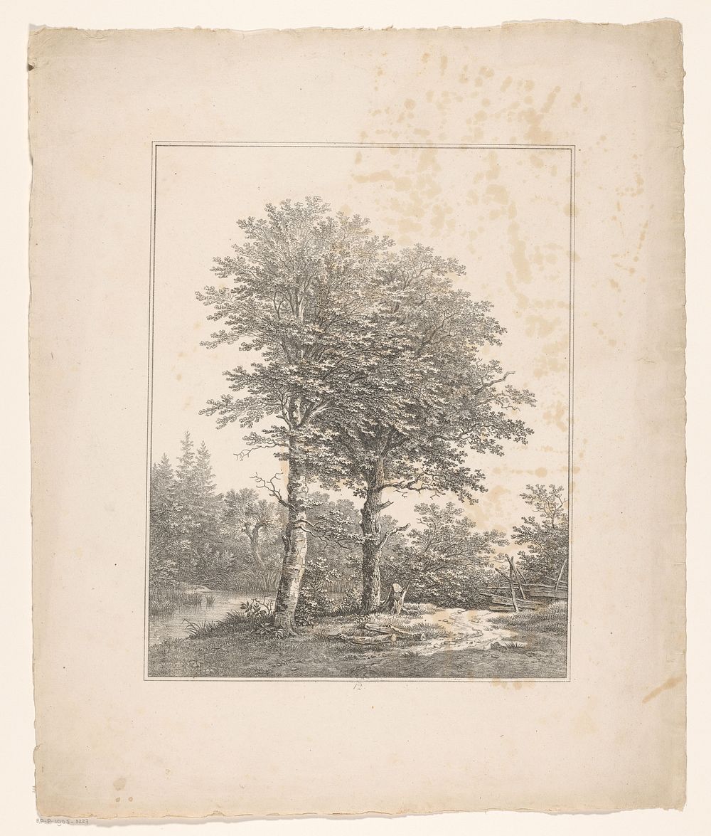 Twee bomen bij hek (1826) by Adrianus van der Koogh and Steuerwald and Co