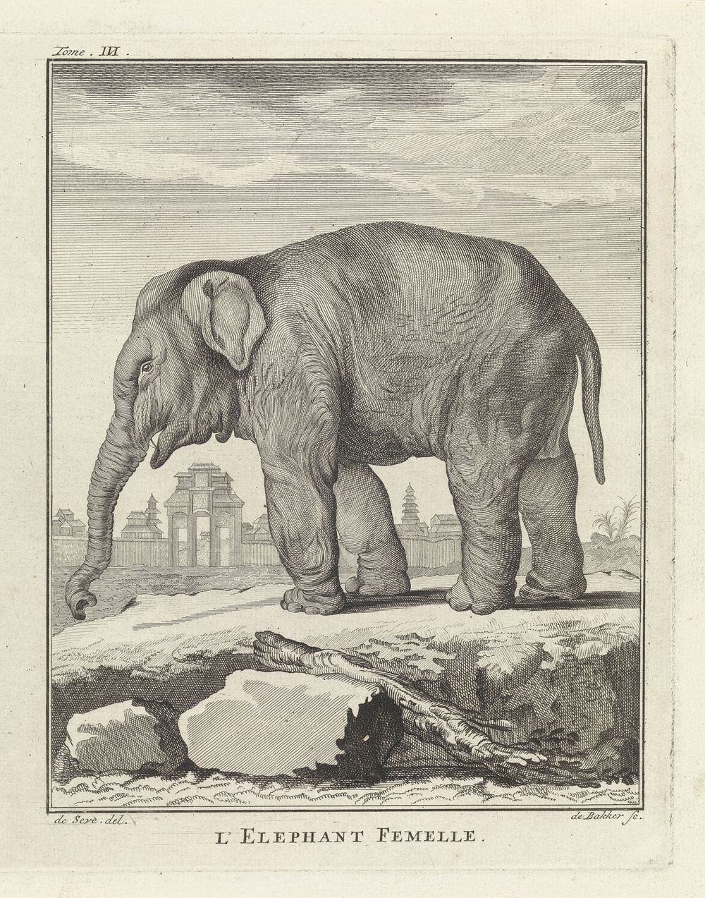 Olifant (1762 - 1804) by Barent de Bakker and De Seve