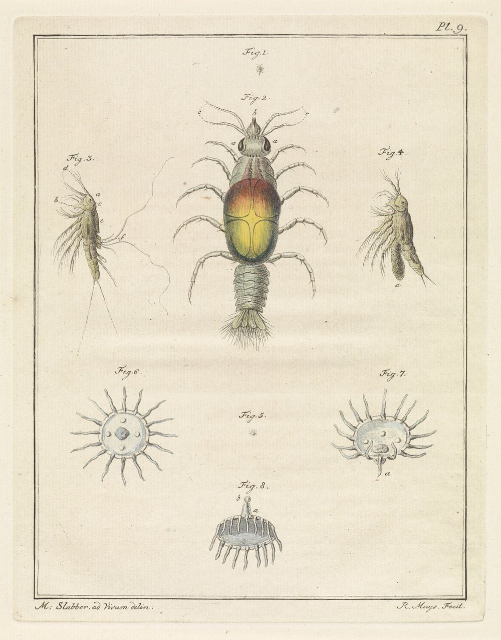 Verschillende zeedieren (1778) by Robbert Muys and Martinus Slabber