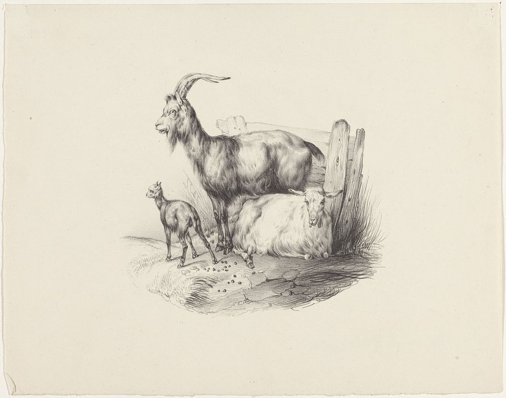 Geit, bok en lam (1822 - 1845) by anonymous, Hilmar Johannes Backer and Hilmar Johannes Backer