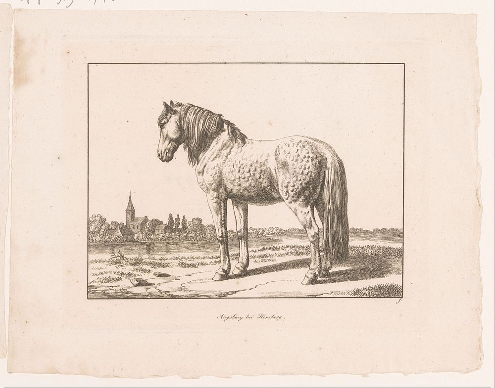 Paard (1750 - 1849) by Georg Adam and Herzberg