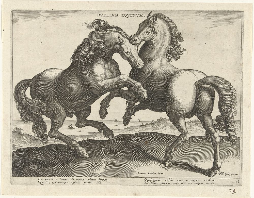Vechtende paarden (c. 1583 - c. 1587) by Hieronymus Wierix, Jan van der Straet and Philips Galle