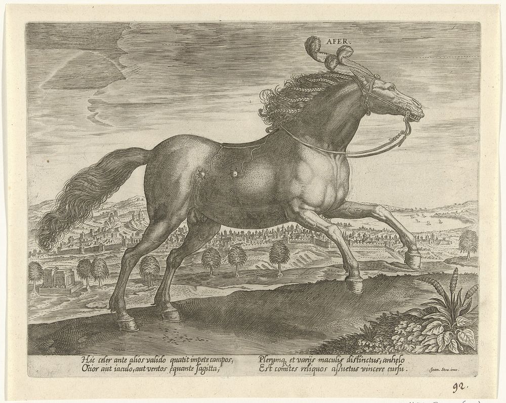 Paard uit Arabië (c. 1578 - c. 1582) by Hans Collaert I, Jan van der Straet and Philips Galle