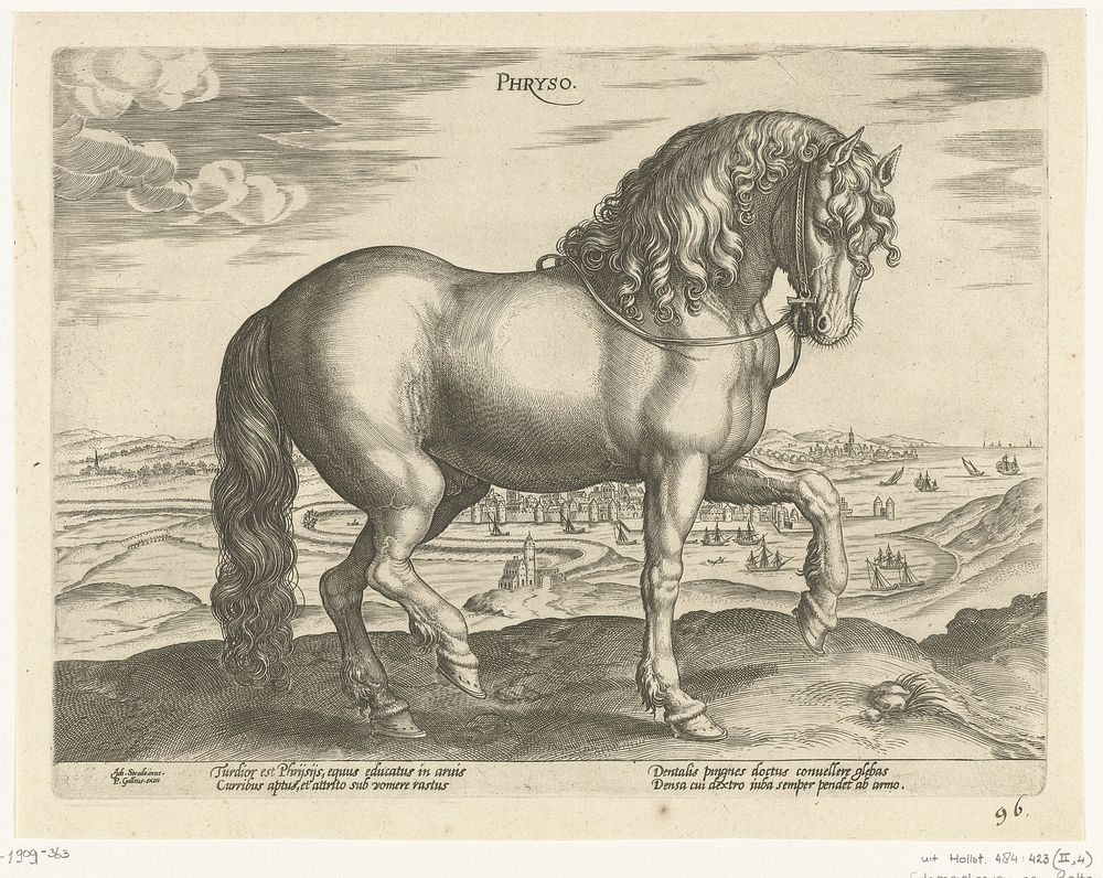 Paard uit Friesland (c. 1578 - c. 1582) by Hendrick Goltzius, Jan van der Straet and Philips Galle