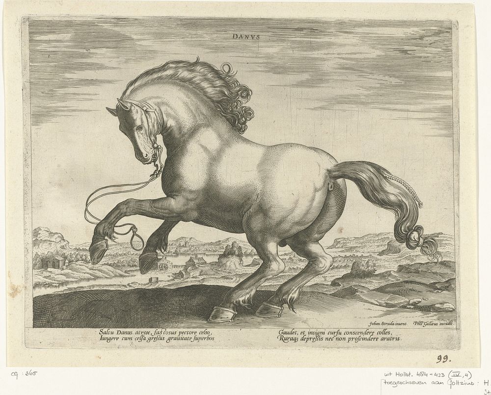 Paard uit Denemarken (Danus) (c. 1578 - c. 1582) by Hendrick Goltzius, Hans Collaert I, Jan van der Straet and Philips Galle