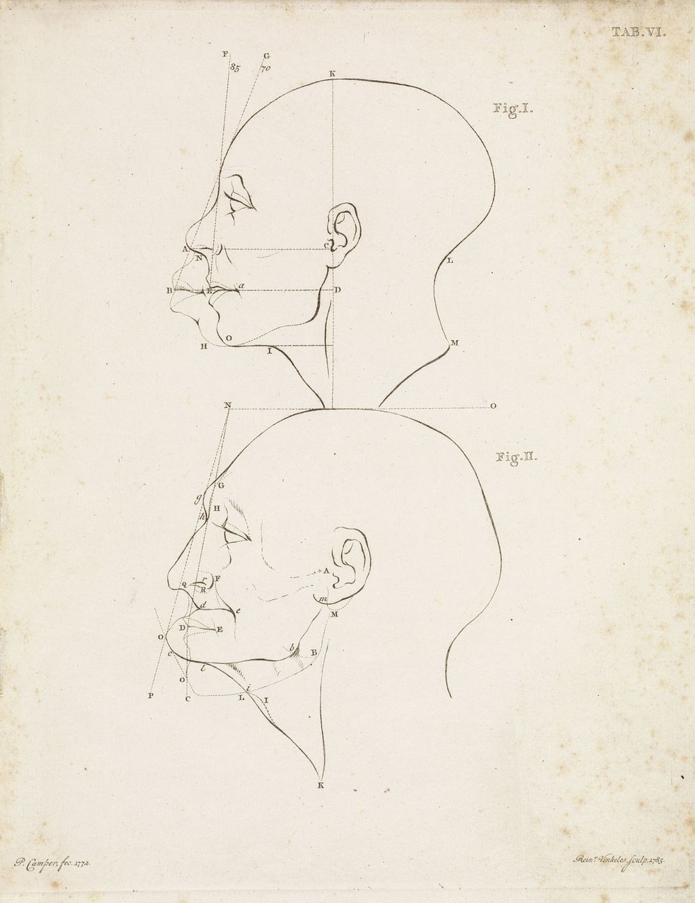 Studie van twee menselijke koppen (1785) by Reinier Vinkeles I and Petrus Camper