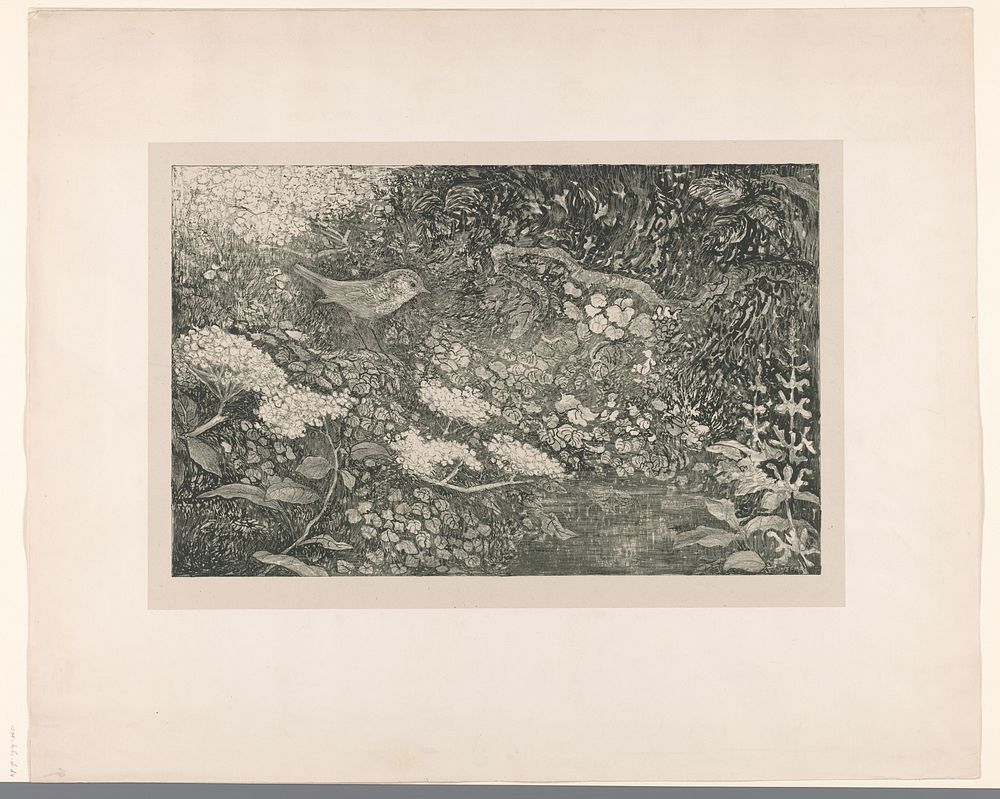 Vogel in begroeiing aan het water (1911 - 1914) by Theo van Hoytema