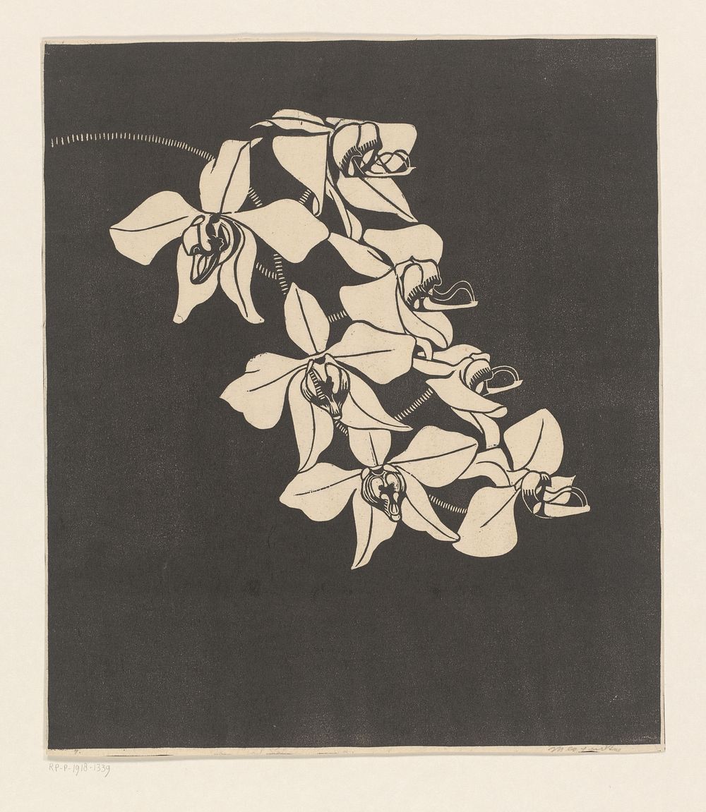 Orchideeën (c. 1916) by Samuel Jessurun de Mesquita