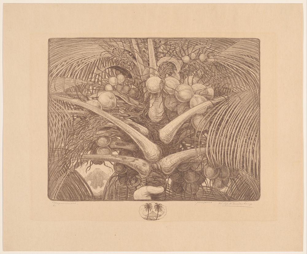 Top van een kokospalm (1918) by Wijnand Otto Jan Nieuwenkamp