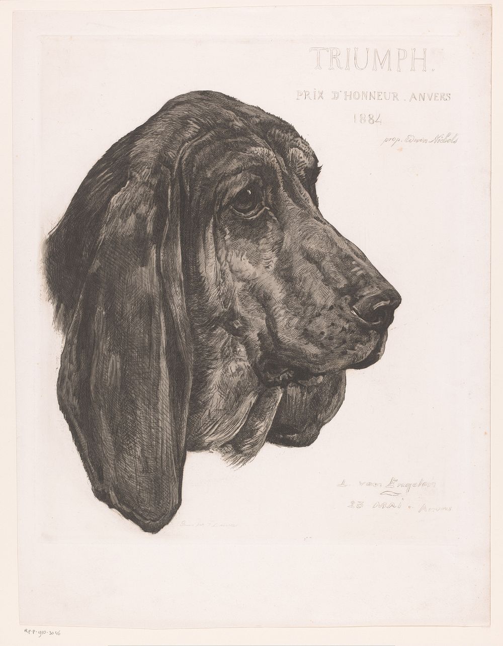 Kop van een bloedhond (1884) by Louis van Engelen