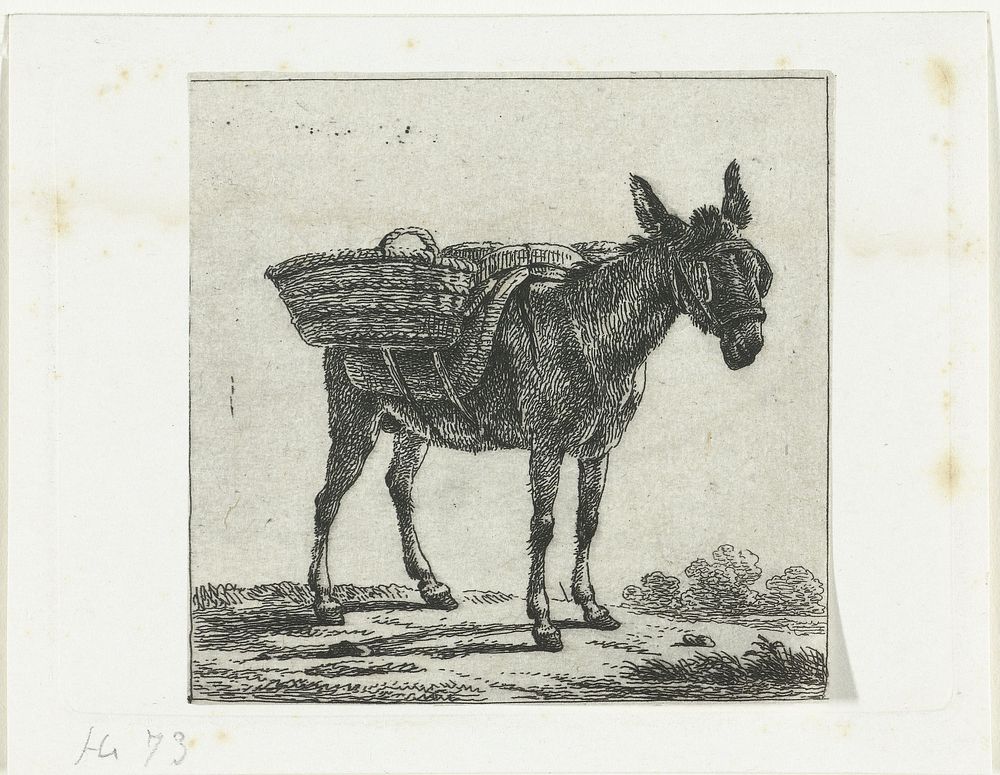 Gezadelde ezel met oogkleppen (1828 - 1831) by Frédéric Théodore Faber