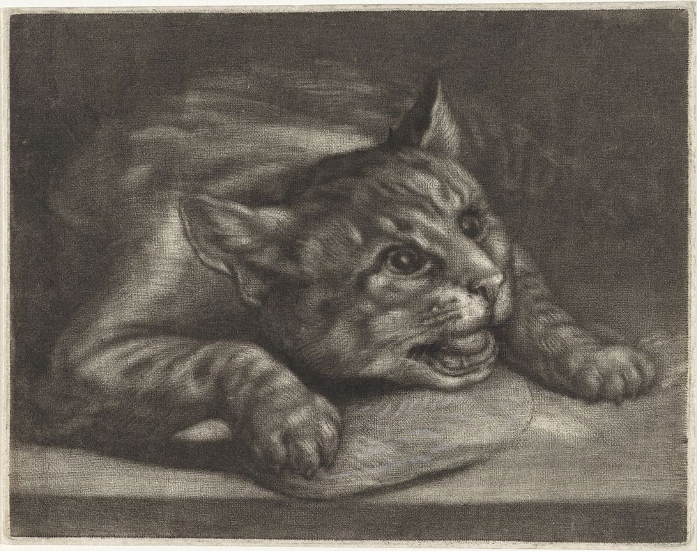 Kat met een vis (1665 - 1675) by Wallerant Vaillant