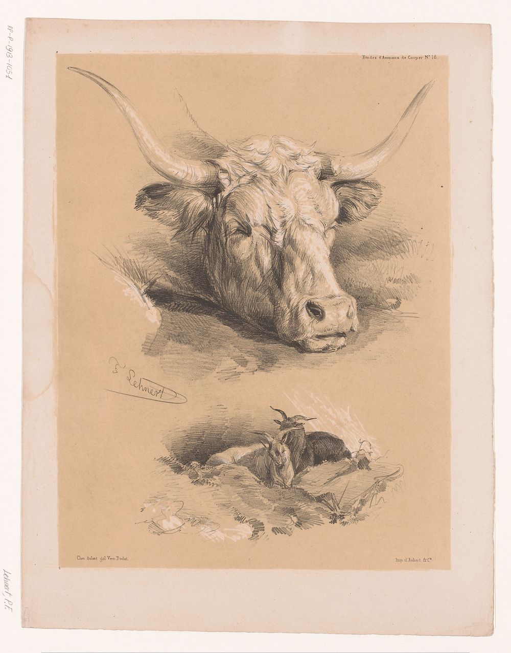 Studies van de kop van een rund en twee bokken (1838 - 1840) by Pierre Frédéric Lehnert, Aubert and Cie and Aubert and Cie