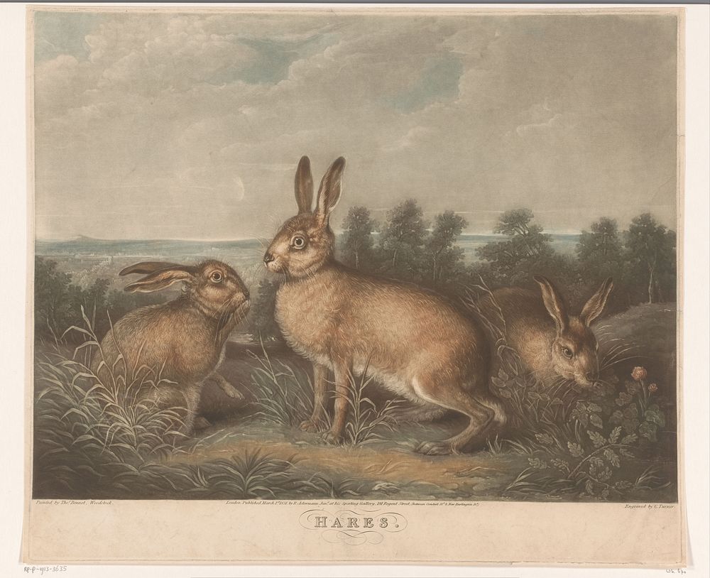 Drie hazen (1831) by Charles Turner, Thomas Bennet and Rudolph Ackermann