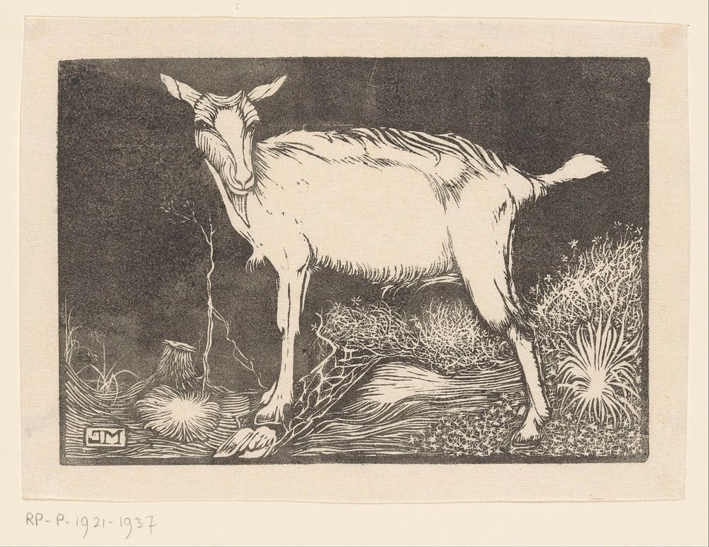 Witte geit (1915) by Jan Mankes