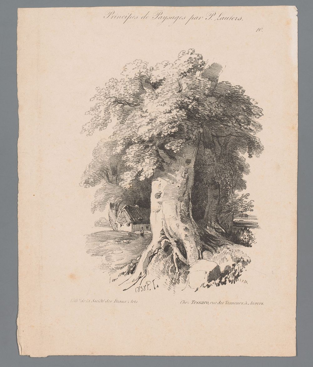 Huis omringd door hoge bomen (1838) by Paulus Lauters, Société des Beaux Arts and Tessaro