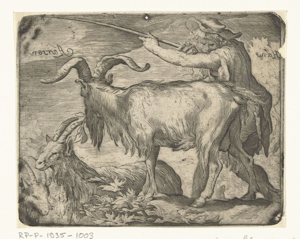 Jongen met geiten (1700 - 1800) by Hans Aarsen and Abraham Bloemaert