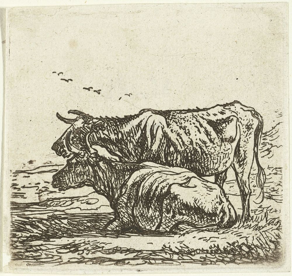 Twee koeien (1630 - 1691) by Aelbert Cuyp and Aelbert Cuyp