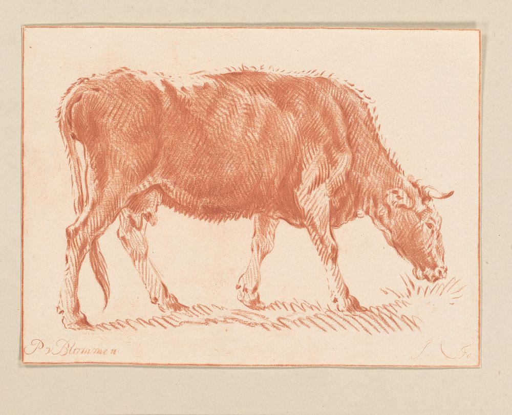 Grazende koe (1724 - 1798) by Jurriaan Cootwijck and Pieter van Bloemen