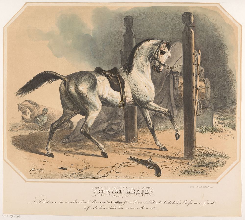 Arabisch paard van Godert van der Capellen (1842 - 1861) by Abraham Hendrik Winter and Pieter Wilhelmus van de Weijer
