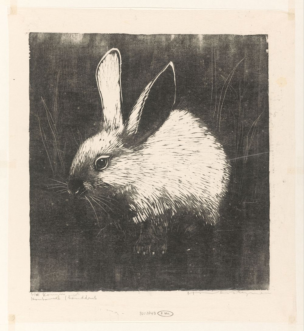 Het konijn (1892 - 1931) by Henri Verstijnen and Henri Verstijnen