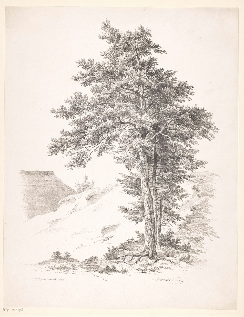 Bomen, heuvel en dak van boerderij (1826 - 1828) by Adrianus van der Koogh and Steuerwald and Co