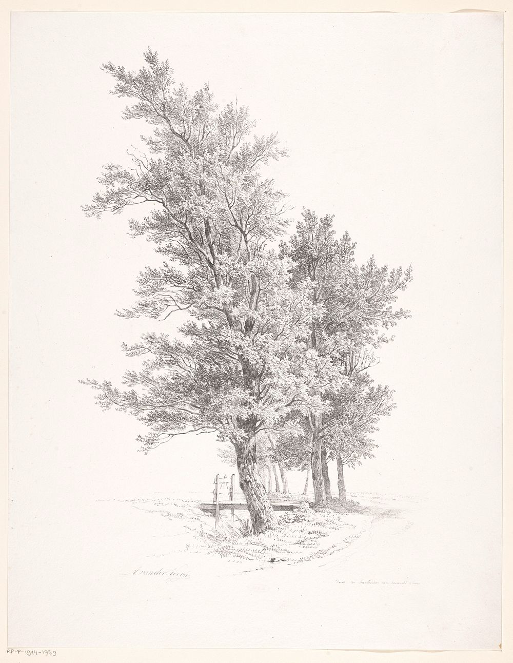 Rij bomen (1826 - 1828) by Adrianus van der Koogh and Steuerwald and Co