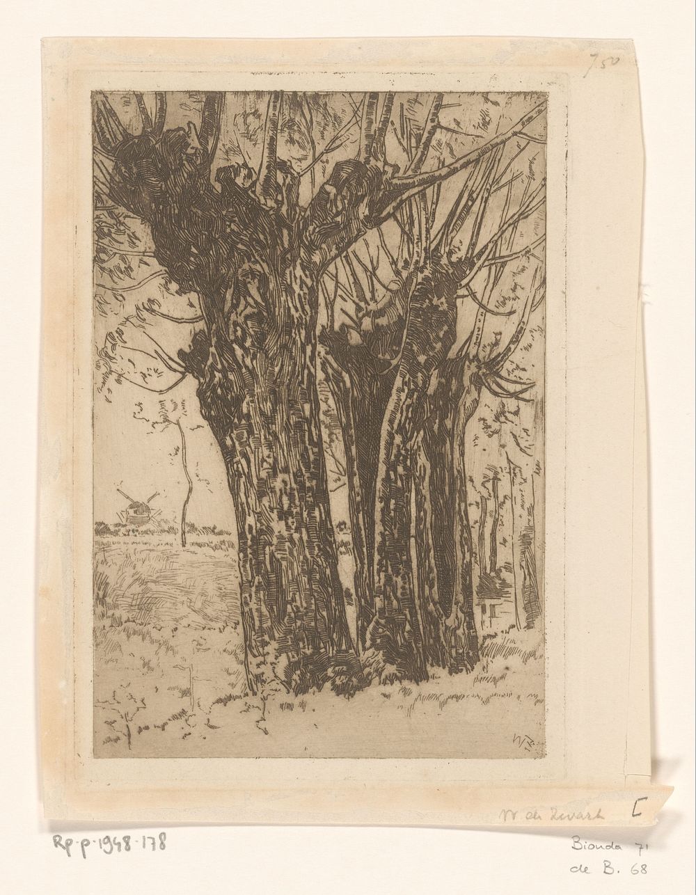 Landschap met wilgen (c. 1896) by Willem de Zwart