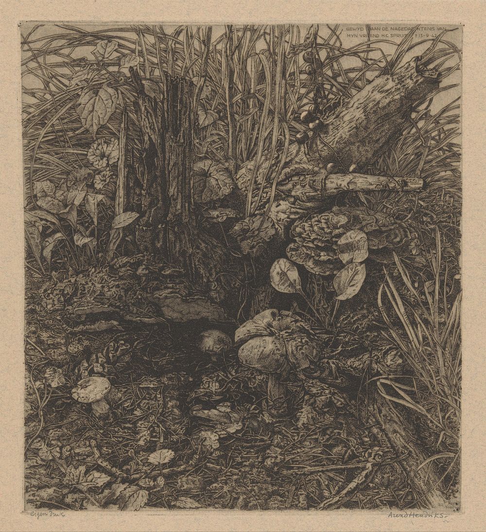 Paddenstoelen bij een boomstronk (in or after 1942) by Arend Hendriks and Arend Hendriks