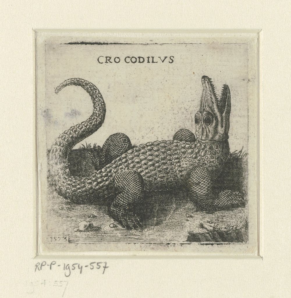 Krokodil (1573) by anonymous