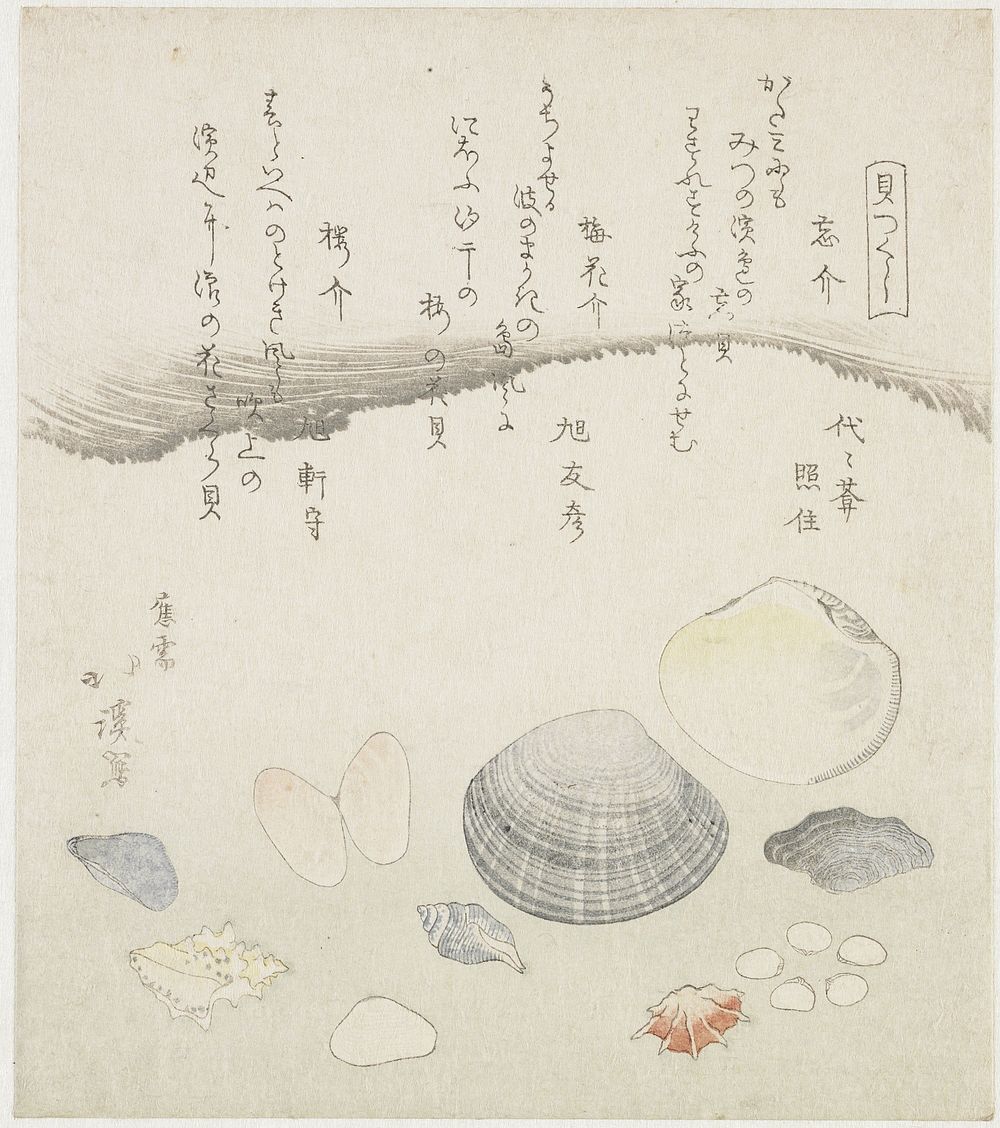 Vergeten schelp, pruimenbloesem schelp en kersen schelp (1821) by Totoya Hokkei, Yoyoan Teruzumi, Asahi Tomohiko and Asahi…