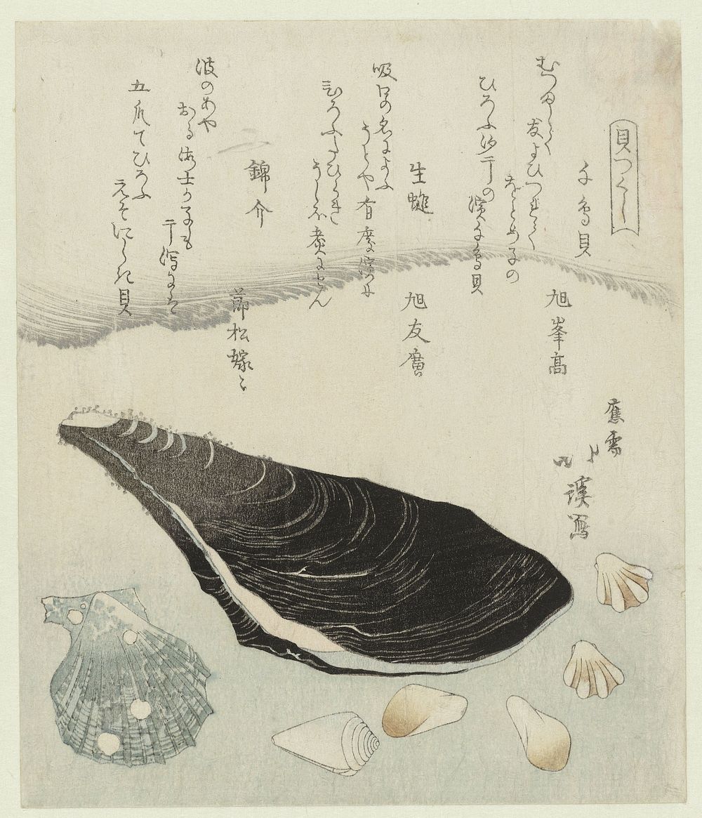 Plevierschelpjes, rauwe mossel en brokaat schelp (1821) by Totoya Hokkei, Asahi no Minetaka, Asahi no Tomohiro and…