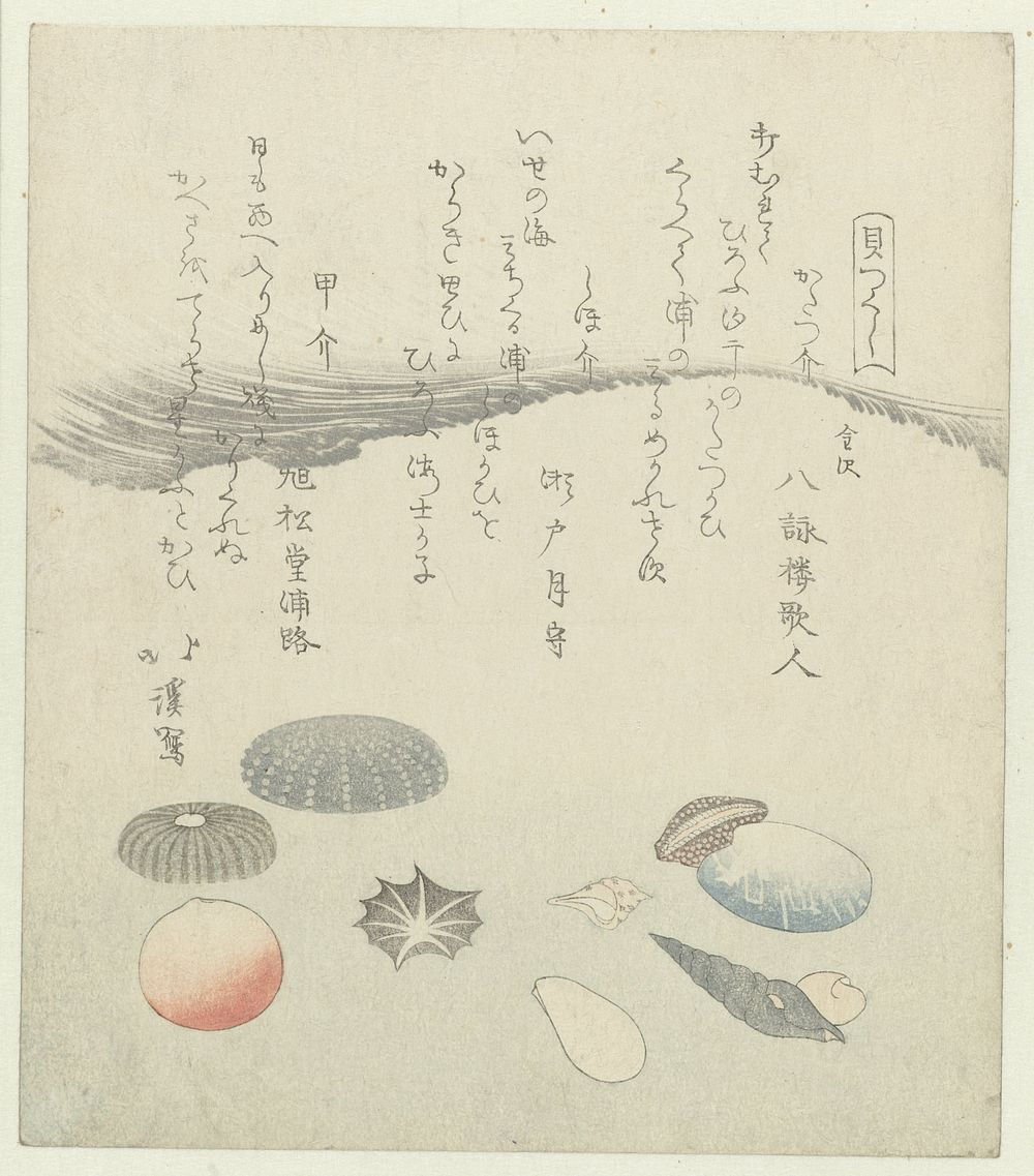 Ronde rode en blauwe schelp met kleinere schelpen (1821) by Totoya Hokkei, Yaeirô Utahito, Sôko Tsukimori and Kyokushôdo…