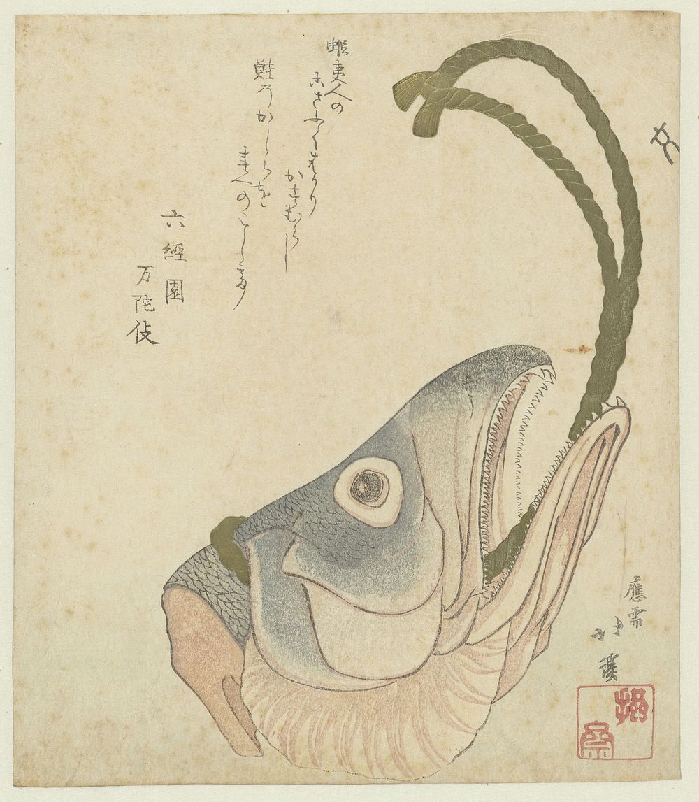Head of a Salmon (c. 1815 - c. 1820) by Totoya Hokkei and Rokkeien Mandae