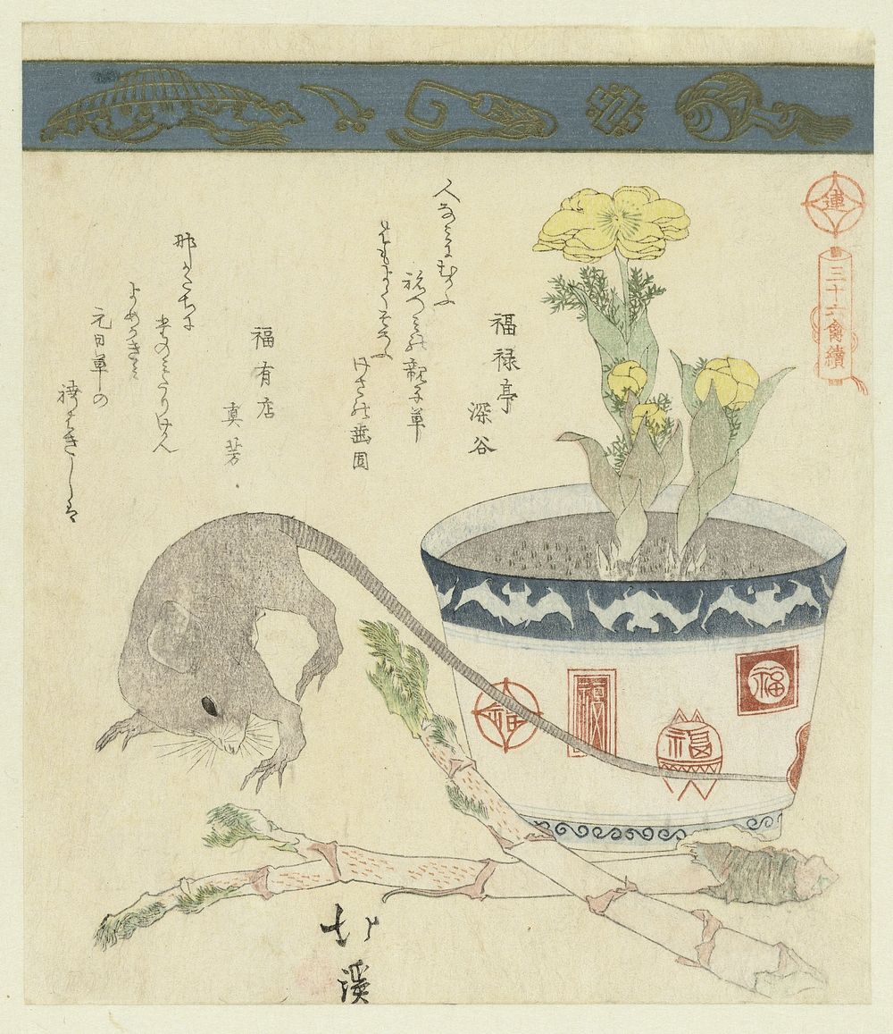 Rat en kom met adonis (c. 1828) by Totoya Hokkei, Fukurokutei Fukuya and Fukuyûten Mayôshi